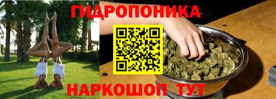 гидра Уссурийск